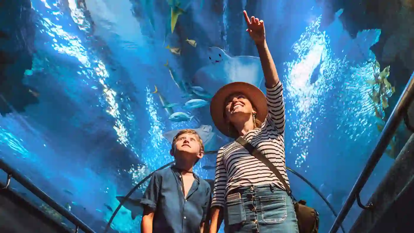 Zu sehen sind zwei Personen in einem Aquarium Tunnel.